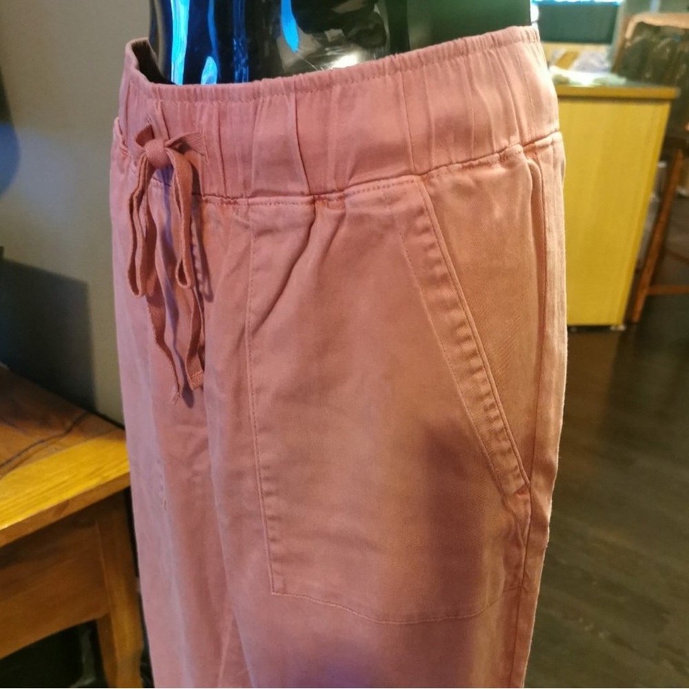 Buffalo David Bitton Mauve Drawstring Pants